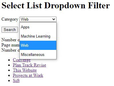 Select list dropdown filter